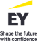 Logo Fundación EY