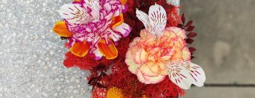 Arranjament floral fet hibridant diferents petals de flors
