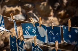 Taller Herbari fotogràfic