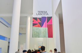 Visita a l'exposició Teresa Lanceta