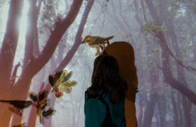 Els secrets del bosc