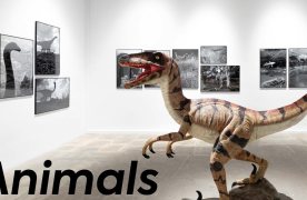 Animals i altres criatures fantàstiques