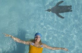 Dona en piscina mirant el cel, un pingüí neda dins l'aigua de la piscina