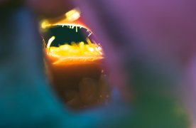 Imagen de la obra "Pequeño cúmulo de abismos"