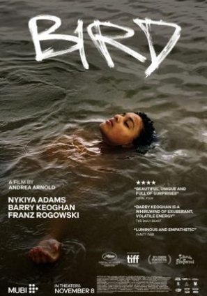 Cartel de la película Bird