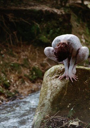 Cecilia Paredes · Un ligero vuelo