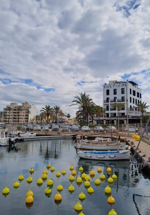 Vista del port del Molinar