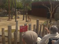 Sortida de la Llar Residencial Sant Llàtzer al Zoo de Barcelona