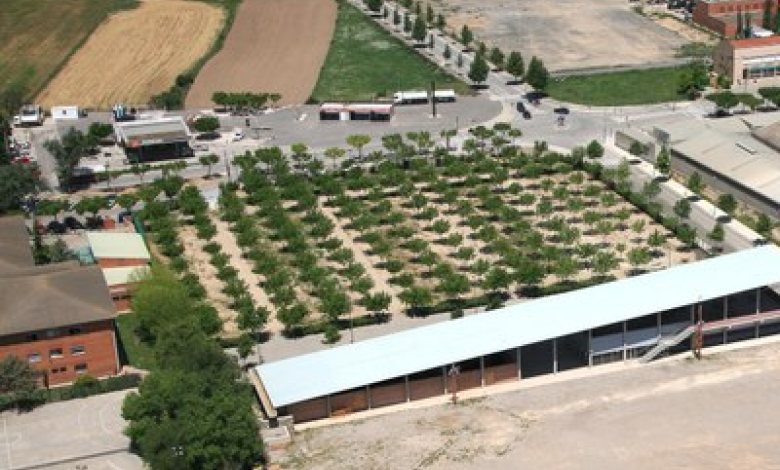 Càmping municipal de Tàrrega