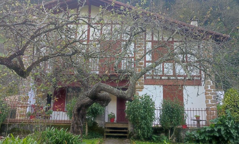 Sara Etxera iristeko bidea