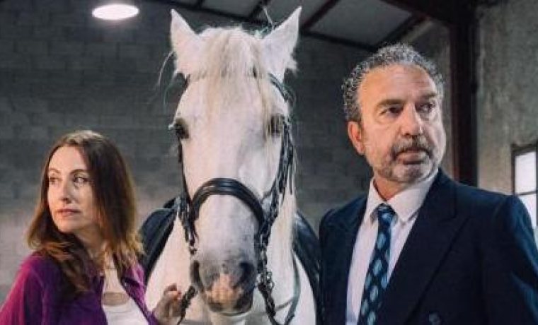 Imatge de l'espectacle on es veu un cavall blanc al mig i als costats els dos intèrprets de l'espectacle: Alícia Garau i Pedro Mas