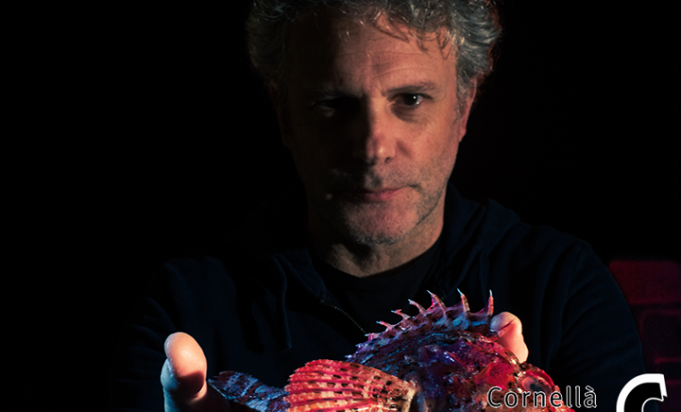 la nit del peix kiwi