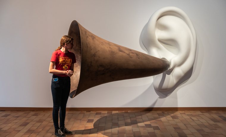 Imatge d'una obra de l'exposició  Art Sonor?