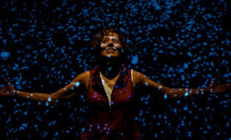 Abans que es faci fosc