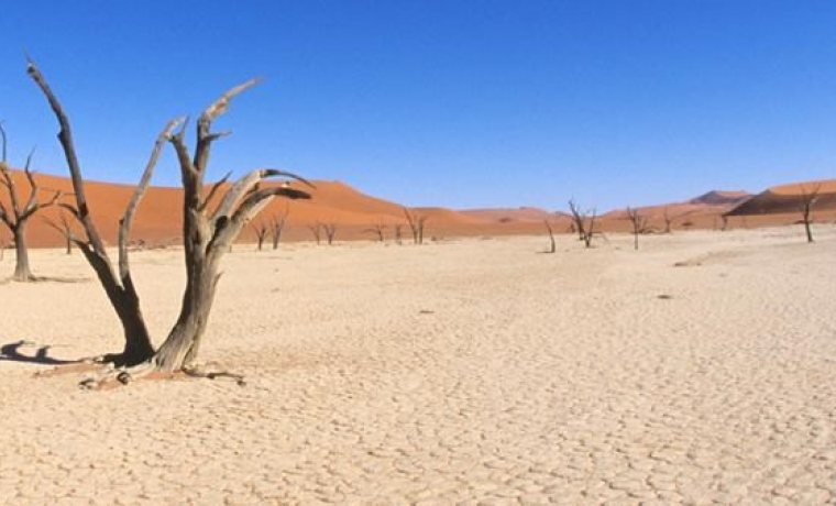 Experimento año 2100