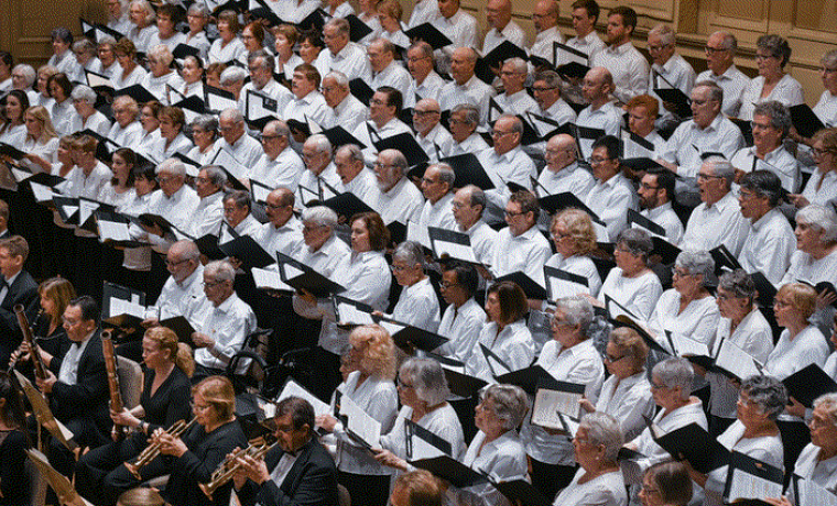Músics i cantaires en concert