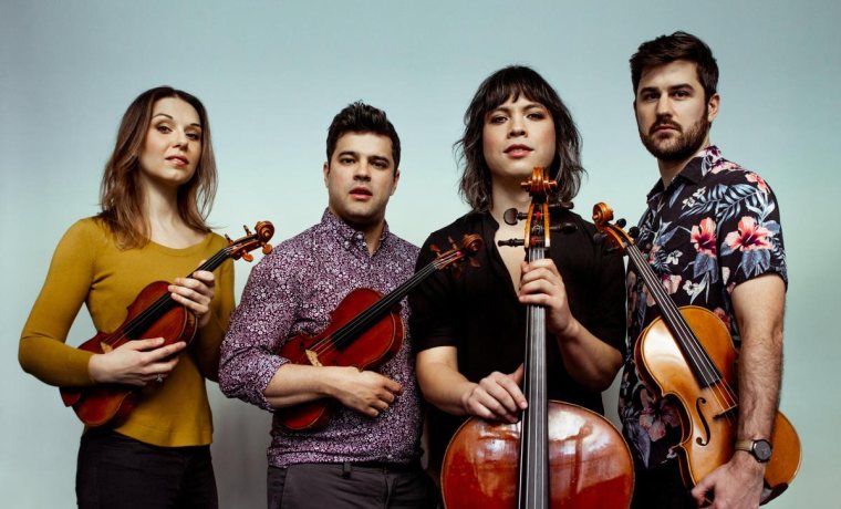 Membres del quartet Attacca Quartet