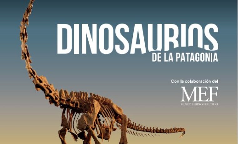 Cartel de la exposición Dinosaurios de la Patagonia que muestra una réplica del esqueleto de un dinosaurio Patagotitan mayorum.