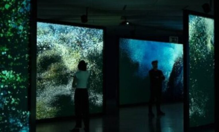 Cabecera de la exposición Ecos del océano