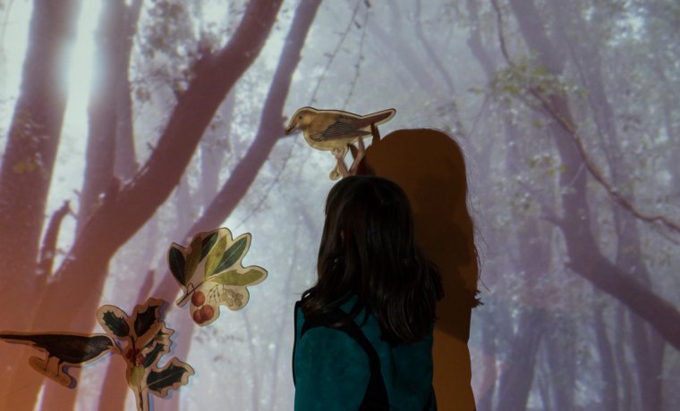 Els secrets del bosc