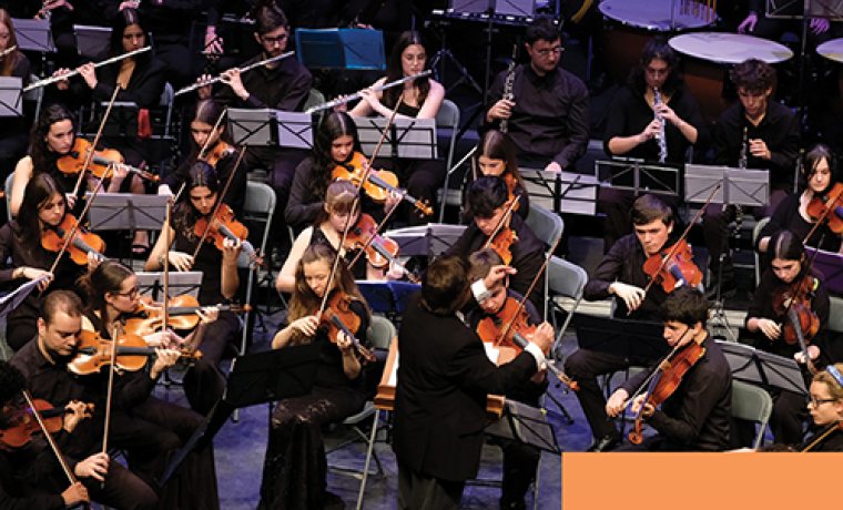 ARTS SIMFÒNICA JOVE