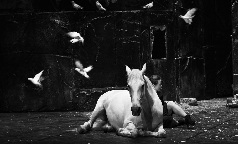 Falaise copy_francois_passerini