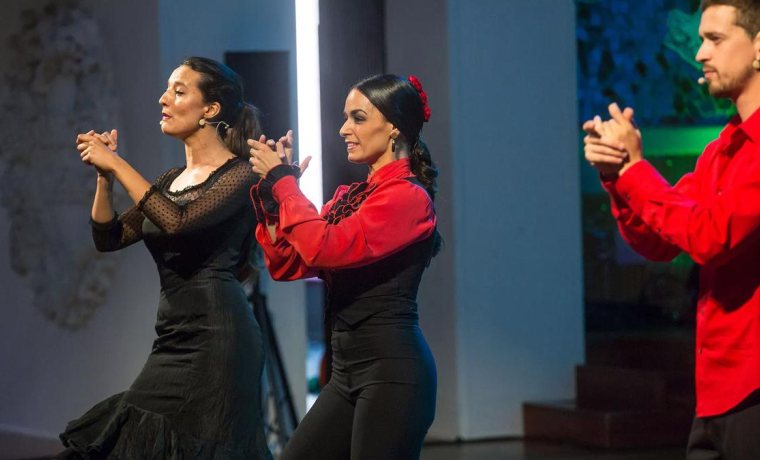 Artistes de l'espectacla Flamenkat actuant