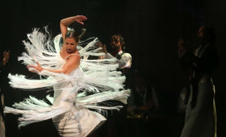 Omega Wants to Dance - Festival In-Edit 