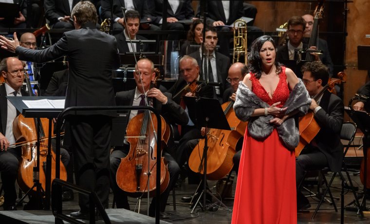 Músics de l'Orquestra Simfònica del Vallès a l'escenari del Palau