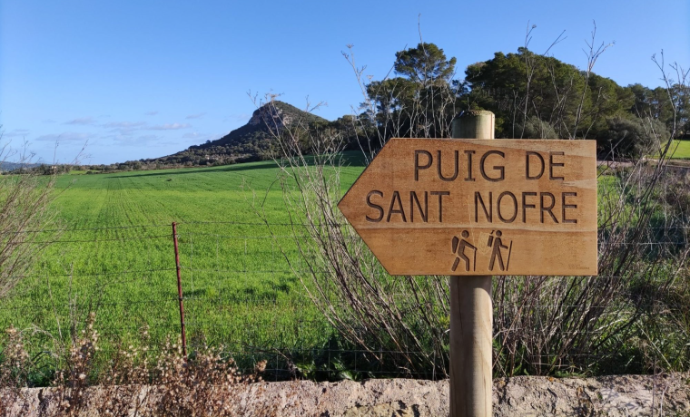 Pujada al puig de Sant Nofre