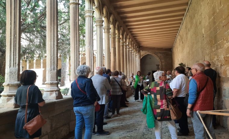 Visita claustre de Sant Domènec