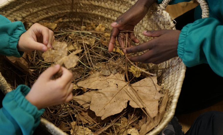 Els secrets del bosc