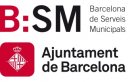 Logotip de BSM